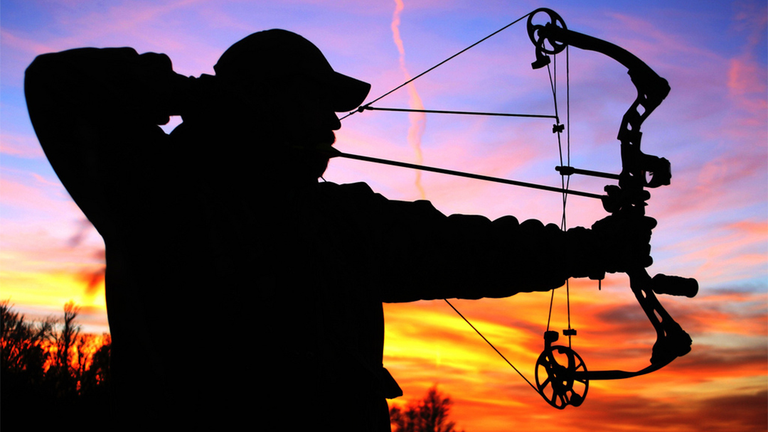 Crossbow Hunting Allowed in Illinois Under New Law Chicago News WTTW